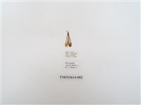 藏品(蟻蛉90)的圖片